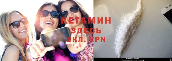 прущие грибы Вязьма
