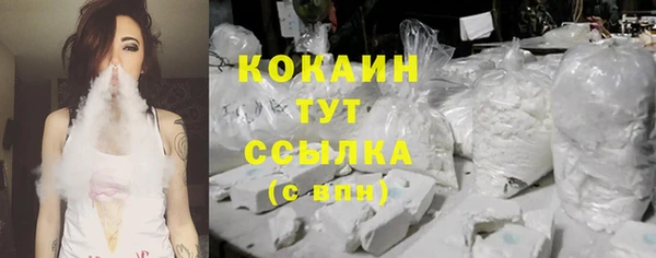 прущие грибы Вязьма