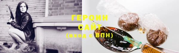 прущие грибы Вязьма