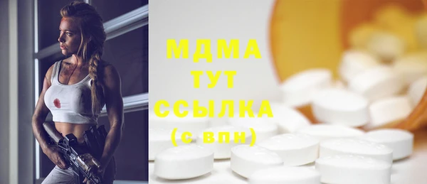 прущие грибы Вязьма