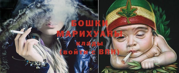 прущие грибы Вязьма